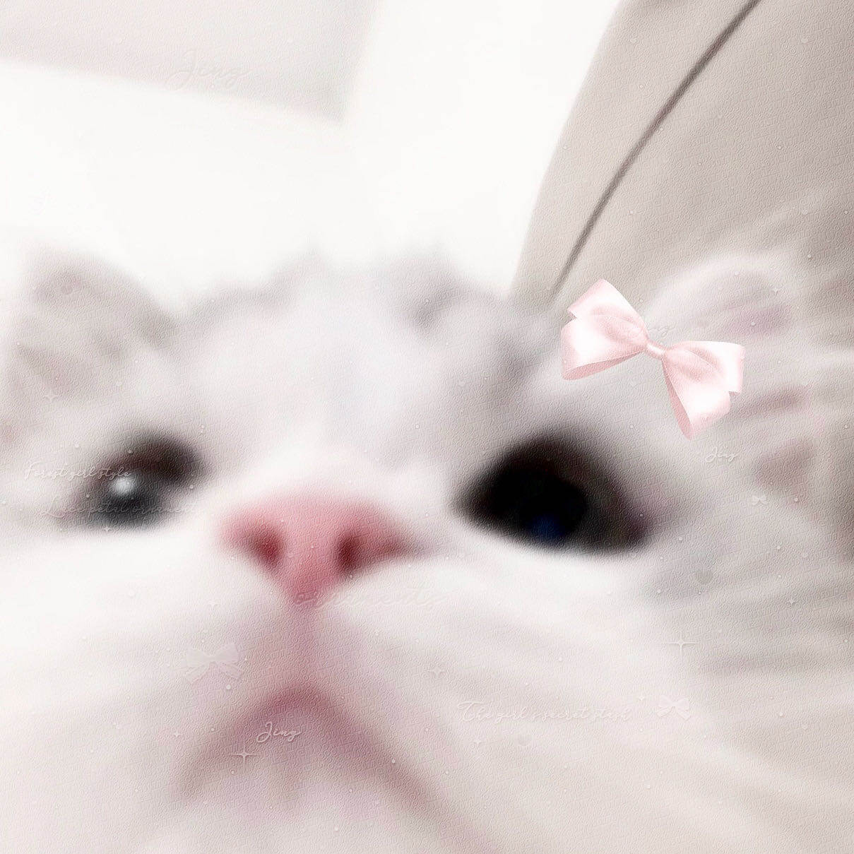 mimi